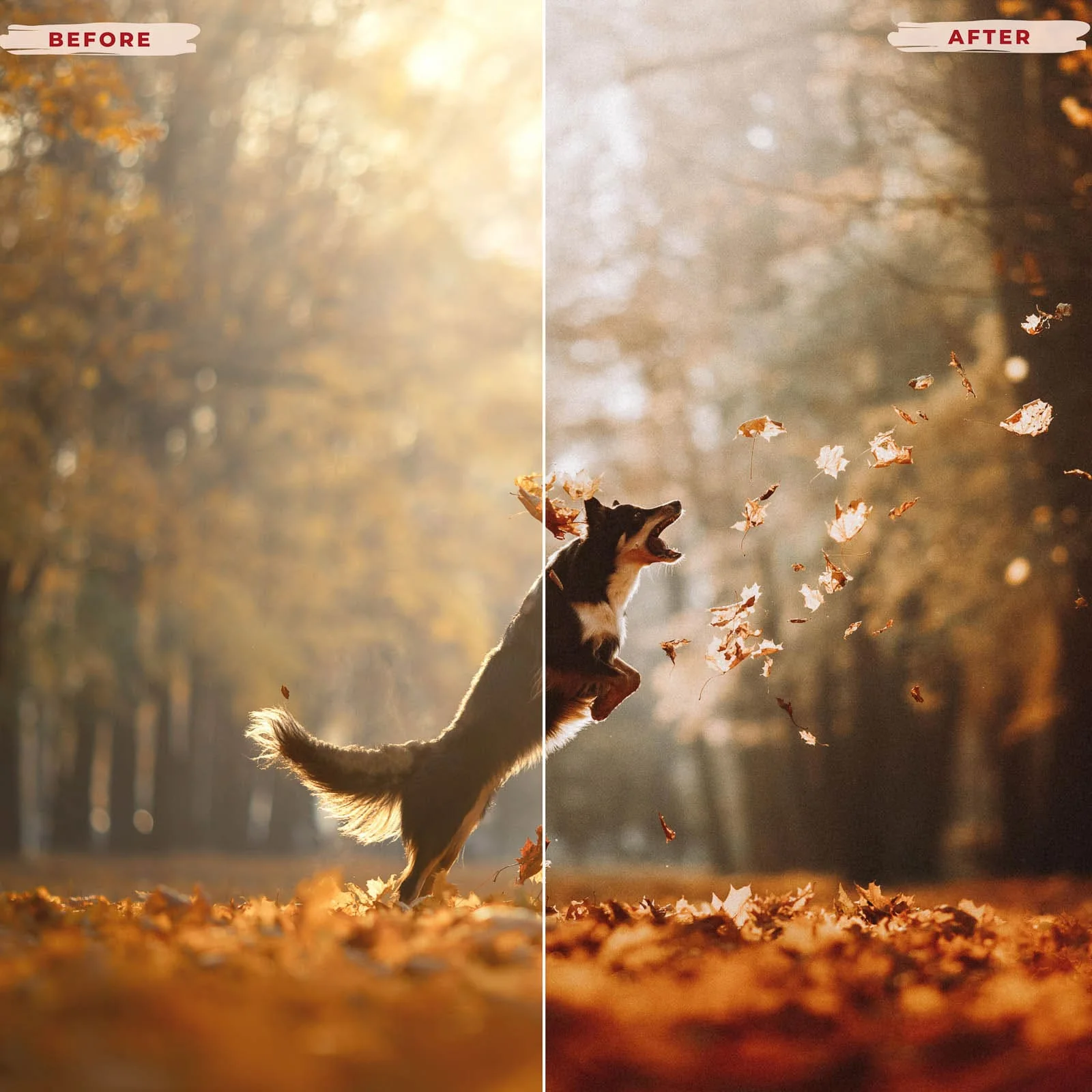 GoldenHourproductimages-6_ca0bc214-6885-4cc3-9fad-fefc1b6b041b