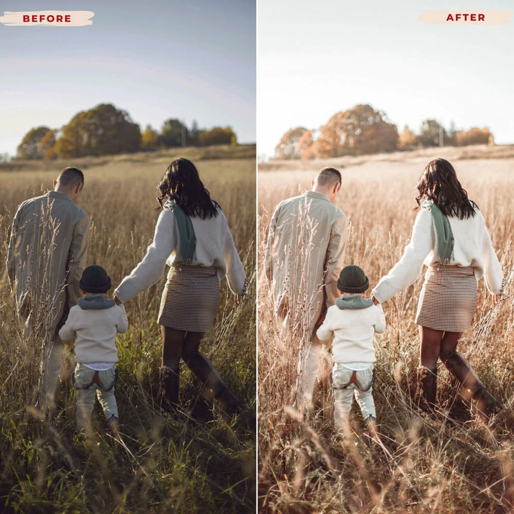resizedproductimages-10_4e688de7-660f-4477-8b74-075bfeeeeb70
