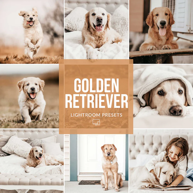 GoldenRetriever